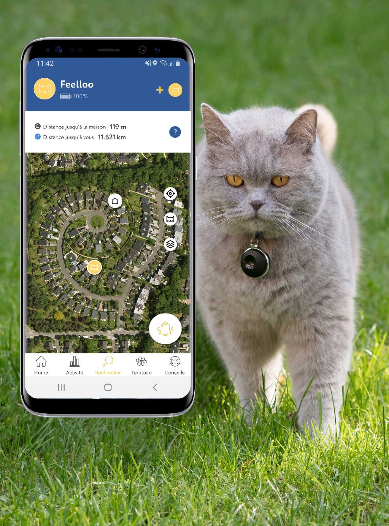 Feelloo Le collier gps pour chat sans abonnement français — free download